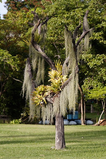 Suan Luang-JUN14-040